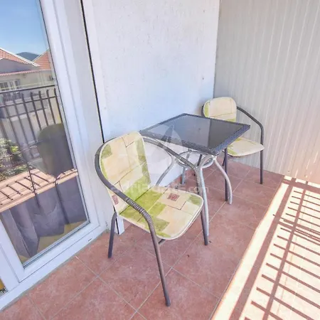 Oak Tree Biograd Na Moru