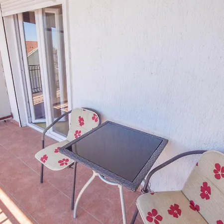 Oak Tree Biograd Na Moru