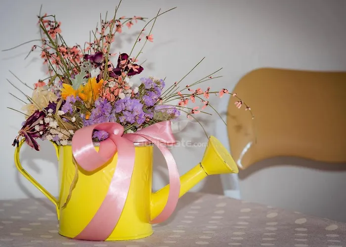 Gostinjska kuća Oak Tree