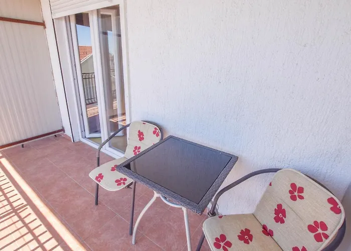 Oak Tree Biograd Na Moru